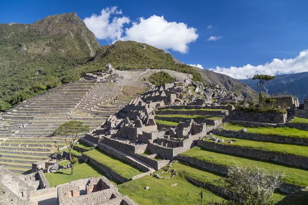 Terraces of Machu Picchu sacred lost city of Incas in  Peru — Stock Photo, Image