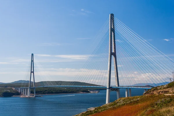 Suspensión Puente Russkiy en Vladivostok, Rusia —  Fotos de Stock