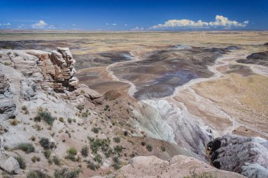 Arizona, ABD çöl manzarası