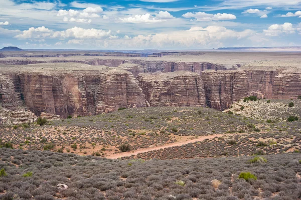 Little Colorado River Canyon, Arizona,  USA — Stock Photo, Image