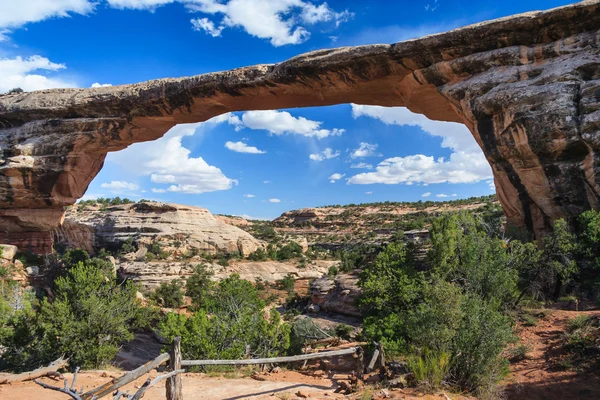 Owachomo Bridge in Natural Bridges National Monument, Utah, Estados Unidos — Foto de Stock