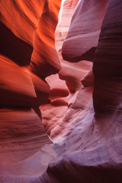 Färgglada sandsten väggar i Upper och Lower Antelope Canyon nära Page i Arizona Royaltyfria Stockbilder