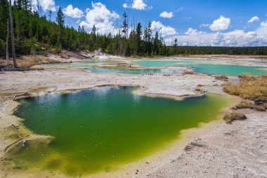Çatırtı gölde Norris Şofben Havzası, Yellowstone Milli Parkı, Wyoming, ABD