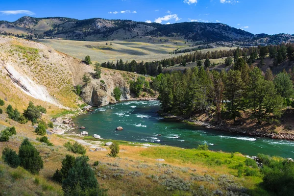 Río Yellowstone en el Parque Nacional Yellowstone, Wyoming, EE.UU. — Foto de Stock