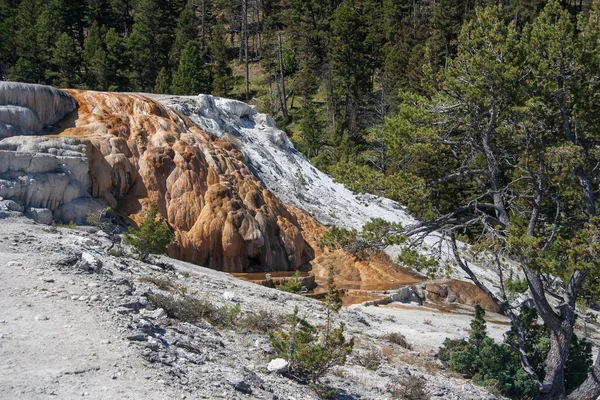 Mammut-Thermalquellen-Terrassen im Yellowstone-Nationalpark, Wyoming, USA — Stockfoto