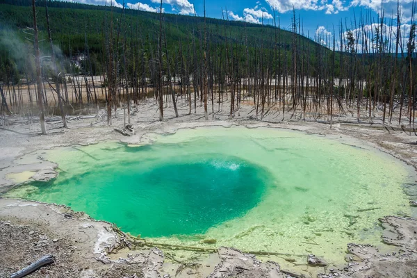 Primavera de la cisterna verde en la cuenca del géiser Norris en el Parque Nacional Yellowstone, Wyoming, EE.UU. — Foto de Stock