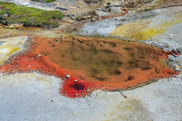 Aguas termales en la cuenca de Geyser en el Parque Nacional Yellowstone, Wyoming, EE.UU. — Foto de Stock