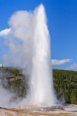 Old Faithful Geyser and Fountain at Yellowstone National Park, Wyoming,  USA clipart