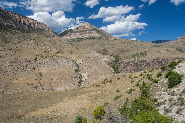 Floresta Nacional de Bighorn em Wyoming, EUA — Fotografia de Stock