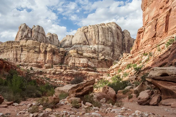 Grand Wash Formations at Capitol Reef National Park, Utah,  USA — Stock Photo, Image