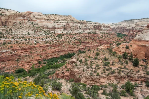 Valley at Grand Staircase in Escalante National Monument, Utah, Estados Unidos — Foto de Stock