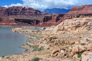 Coast of Lake Powell and Colorado River in Glen Canyon National Recreation  Area clipart