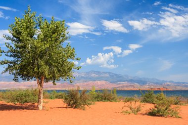 Yalnız Ağaç Parkı'nda kum içi boş Devlet Utah th kumlu plajda