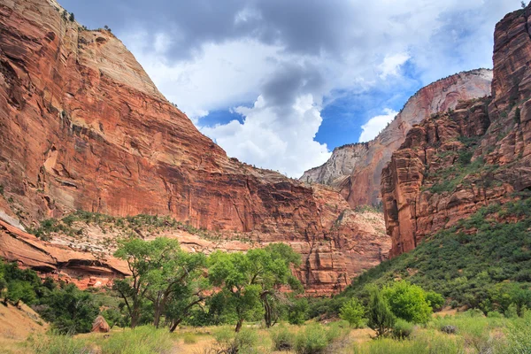 Canyon in Zion National Park in  Utah — Stock Photo, Image