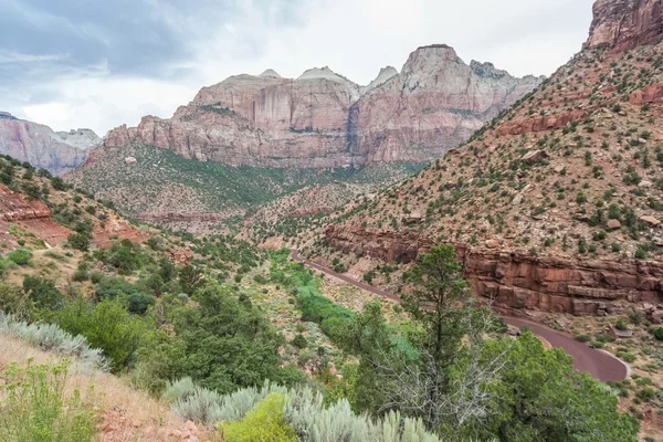 Canyon in Zion National Park in  Utah — Stock Photo, Image