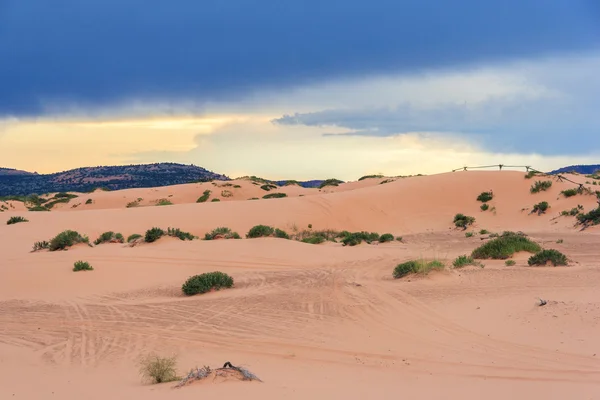 Mercan pembe kum tepeleri State Park Utah gün batımında — Stok fotoğraf