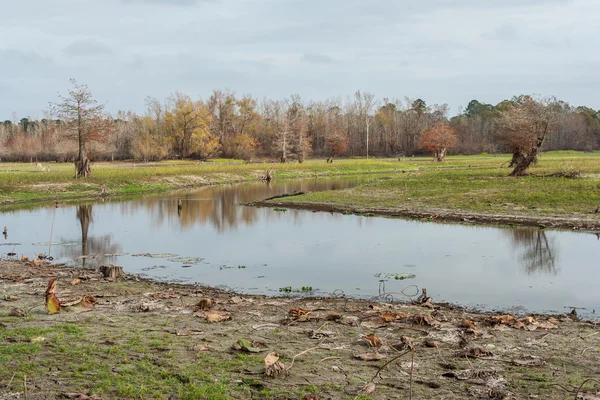 Swamps and lakes of central Texas during  Fall — Stock Photo, Image