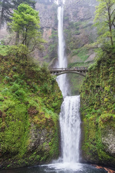 Multnomah Falls, Oregon, EUA — Fotografia de Stock