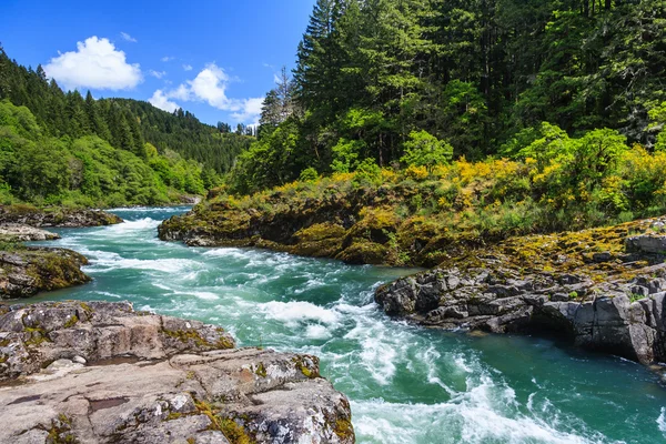 Hegyi folyó és erdő Észak-Cascades Nemzeti Park, Washington, USA — Stock Fotó