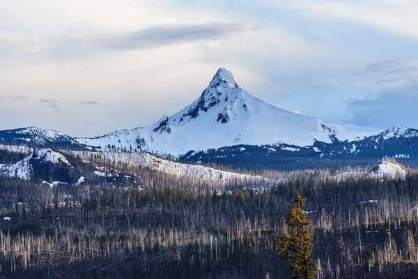 Mount Hood en Oregon cubierto de nieve, EE.UU. — Foto de Stock