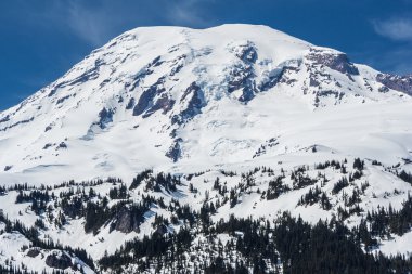 Rainier Dağı zirve kar, Washington, ABD'deki kaplı görünümünü