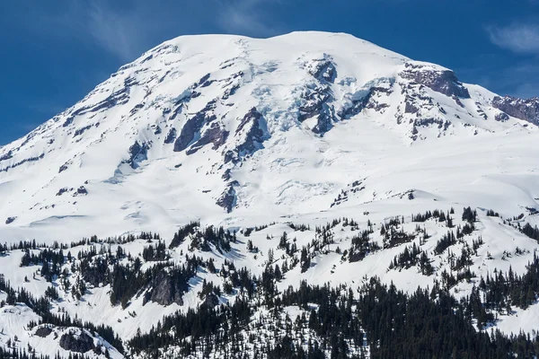 Vista de la cumbre del Monte Rainier cubierta por la nieve, Washington, EE.UU. — Foto de Stock