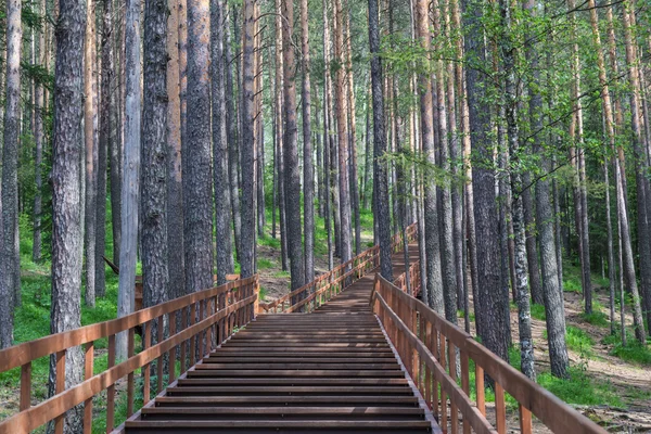 Wooden stairs in landscape park Stolby, near Krasnoyarsk, Russia — Stock Photo, Image