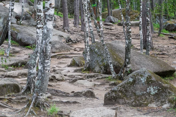 Landscape park Stolby, near Krasnoyarsk, Russia — Stock Photo, Image