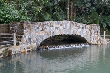 Bridge uygulamasında El Yunque Ulusal Forest Park, Puerto Rico