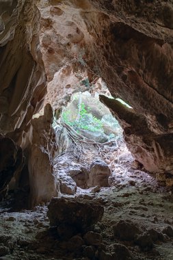 Cueva Ventana - Porto Riko pencere mağara girişine