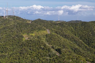 Ormanlarda Cerro de Punta, Porto Riko, en yüksek nokta etrafında