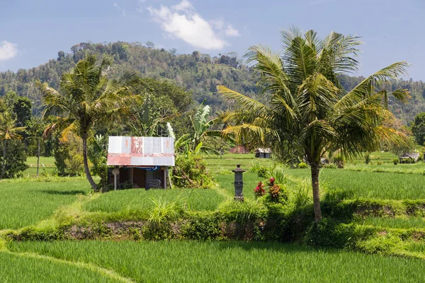 Área rural em Baar, Indonésia — Fotografia de Stock