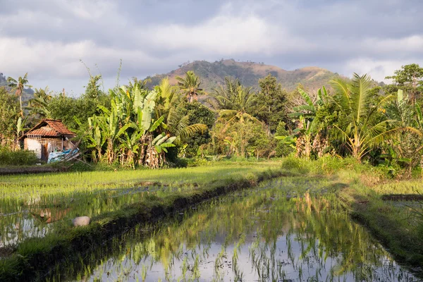 Vista do pôr do sol na área rural de Bali, Indonésia — Fotografia de Stock