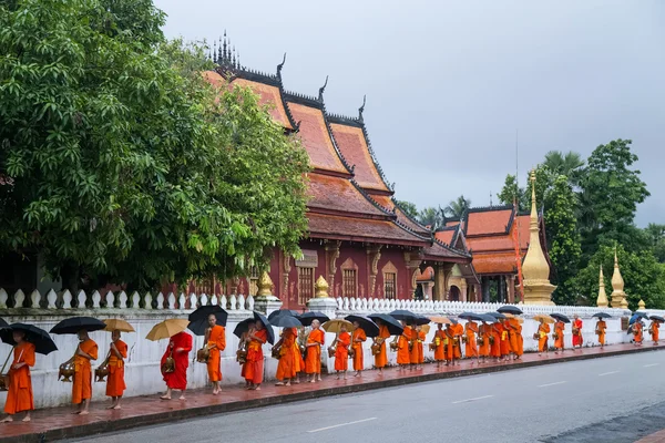 Луанг-Прабанг, Лаос - Примерно в августе 2015 года: традиционная церемония раздачи милостыни для буддийских монахов на улицах Луанг-Прабанга, Лаос — стоковое фото