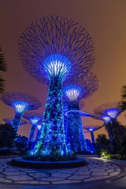 Singapore, Singapur - Eylül 2015 yaklaşık: Supertree Grove Gardens Körfez, Singapur