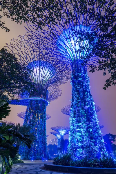 Singapur, Singapur - circa septiembre 2015: Supertree Grove in Gardens by the Bay, Singapur — Foto de Stock