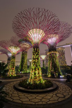 Singapore, Singapur - Eylül 2015 yaklaşık: Supertree Grove Gardens Körfez, Singapur