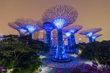 Singapore, Singapur - Eylül 2015 yaklaşık: Supertree Grove Gardens Körfez, Singapur