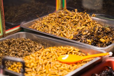Hataları, çekirge, larva, tırtıllar ve akrepler steet Pattaya, Tayland gıda olarak satıldığı gibi kızarmış böcekler