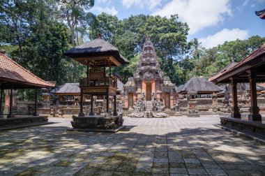 Bali Bali Ubud kutsal maymun orman tapınakta