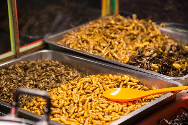 Insetti fritti come insetti, cavallette, larve, bruchi e scorpioni vengono venduti come cibo sulla steet di Pattaya, Thailandia — Foto Stock