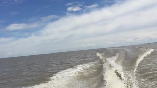高速で航行ボートからロシアのハンカ湖の景色 — ストック動画