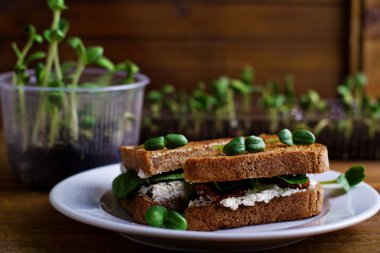 Süzme peynir, domates ve yeşil ile vejetaryen sandviç,