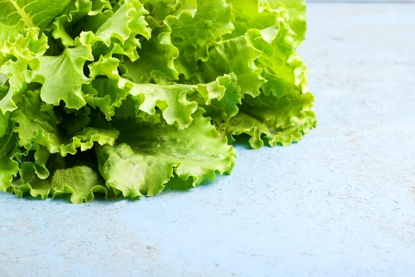 Ensalada verde fresca saludable —  Fotos de Stock