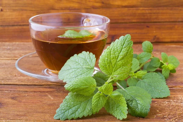 Tea and mint — Stock Photo, Image