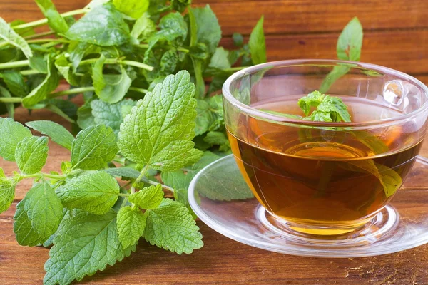 Tea and mint — Stock Photo, Image