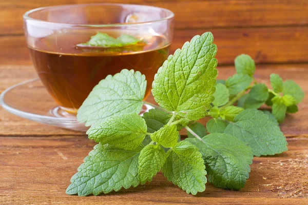 Tea and mint — Stock Photo, Image