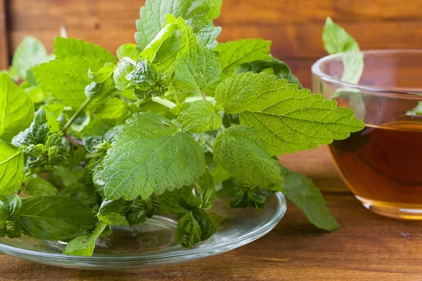 Tea and mint — Stock Photo, Image