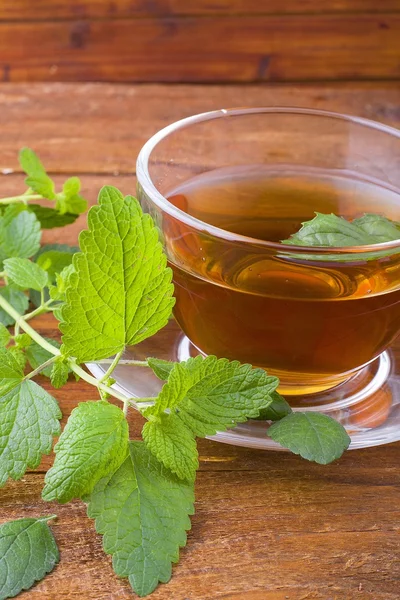 Tea and mint — Stock Photo, Image