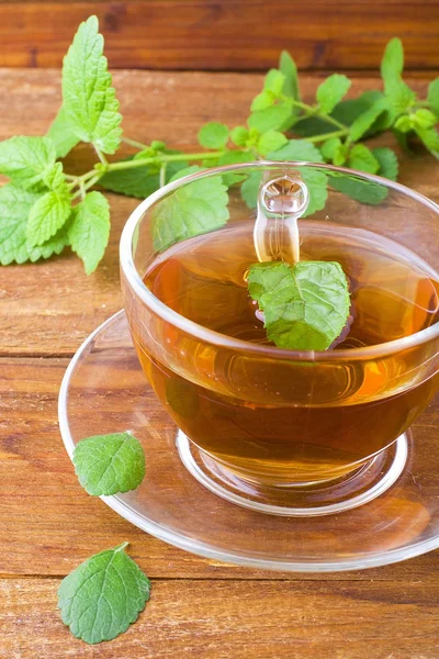 Tea and mint — Stock Photo, Image